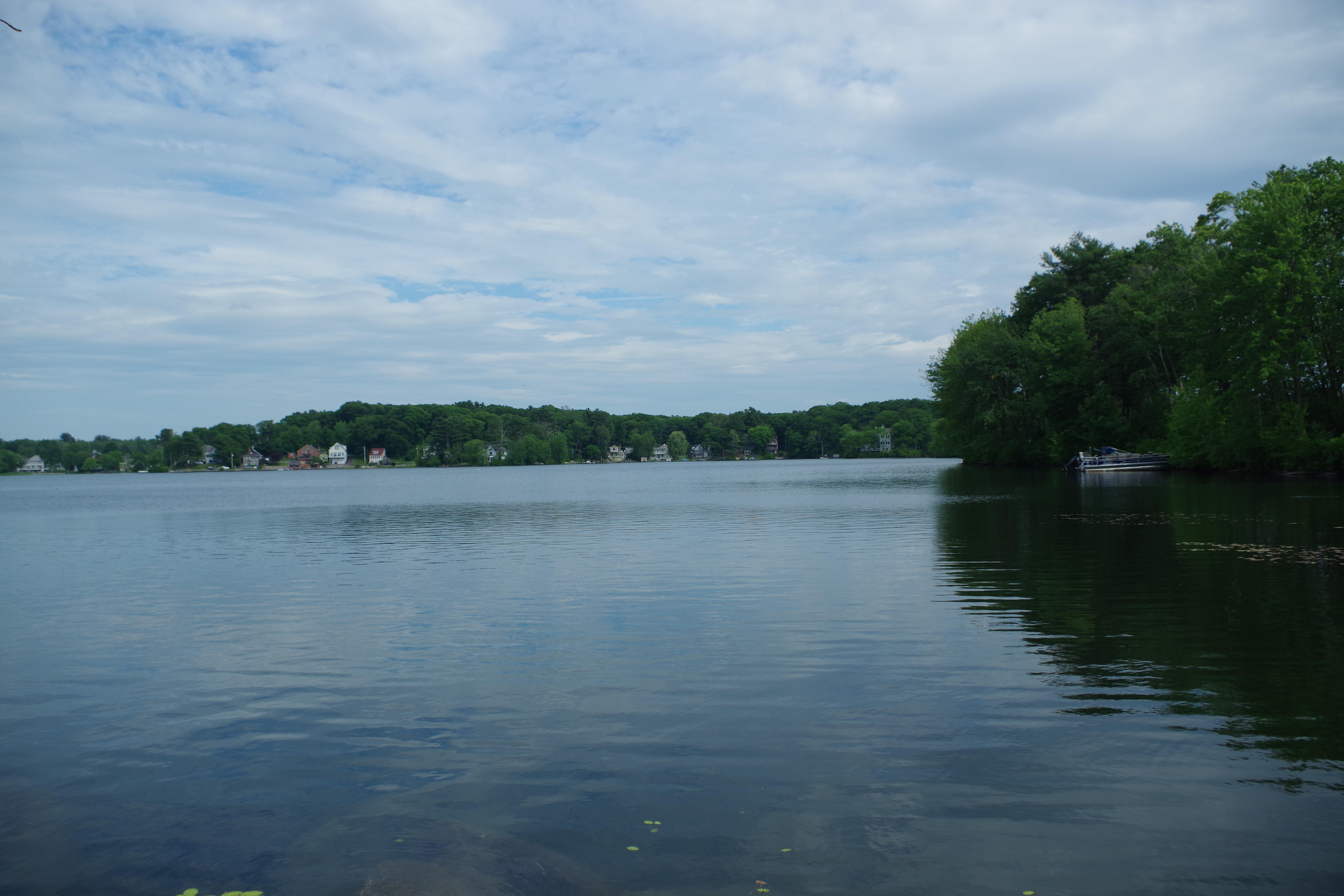 Lake Nipmuc to be chemically treated for nuisance aquatic vegetation